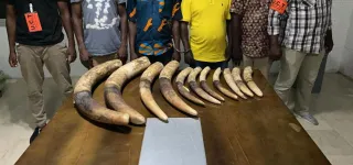 cote-divoire-de-presumes-trafiquants-divoires-et-un-ex-depute-mis-aux-arrets